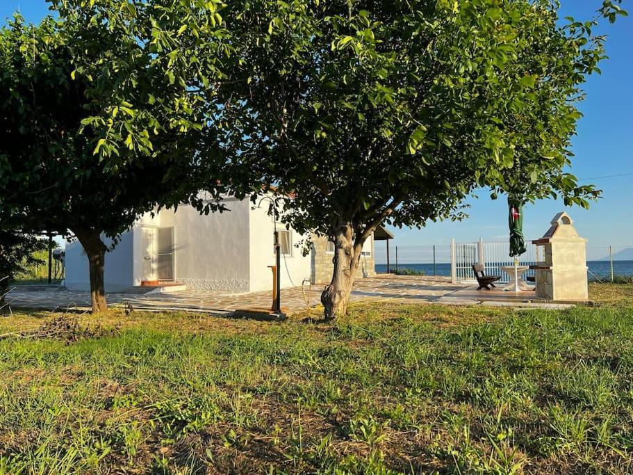 Holiday home Thea *